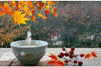 가을을 담은 한 잔의 차.gif