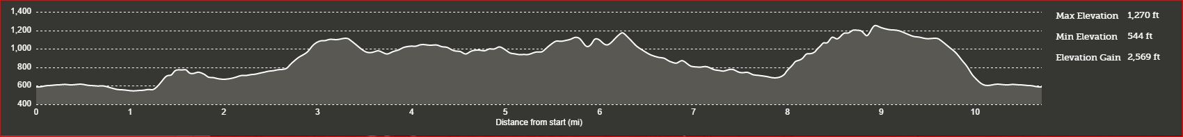 Redwoods-10.7-Elevation Gain.JPG