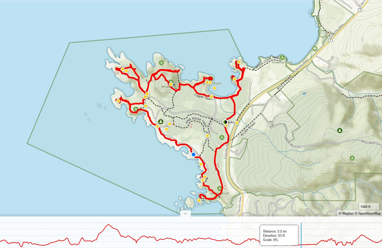 point lobos.JPG