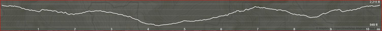 El Corte-10.3-Elevation.JPG