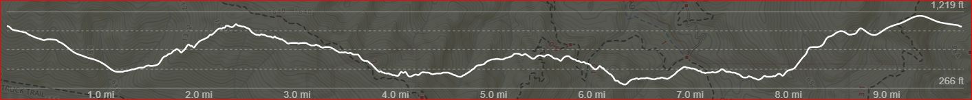 Tarwater-Pomponio-10-Elevation.JPG