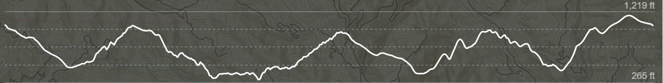 Tarwater-11.3-Elevation-3425.JPG