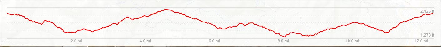 El Corte de Madera-12.33-Elevation.JPG