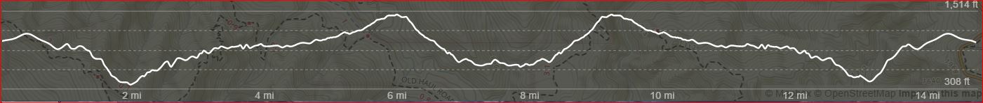 Peters Creek~Coyote Trail-Elevation.JPG