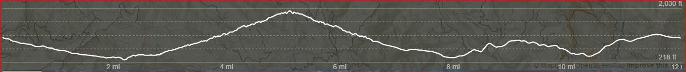 Tarwater-12-Elevation.JPG