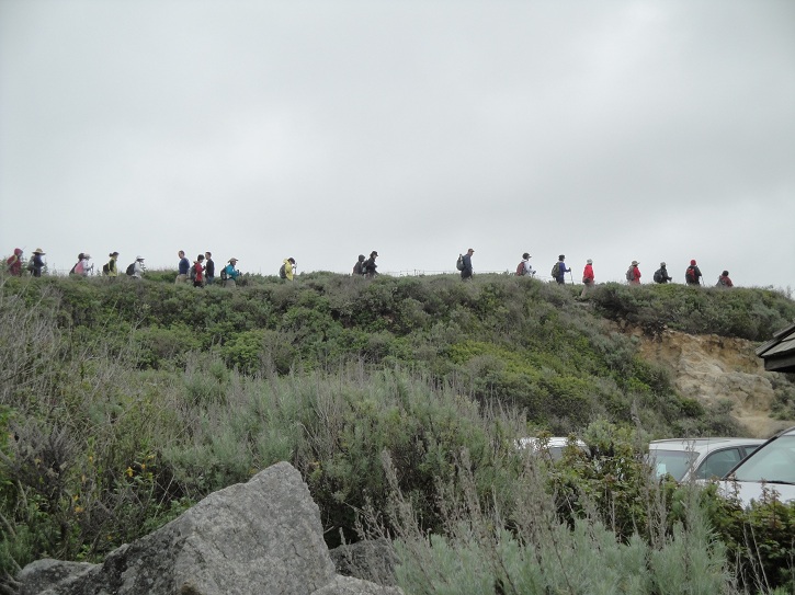 Point Lobos 01.jpg