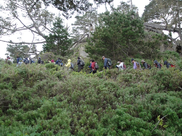Point Lobos 02.jpg