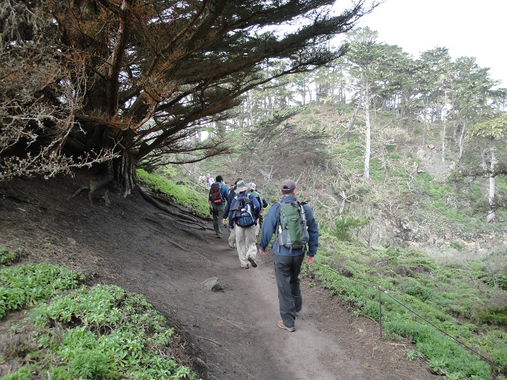Point Lobos 03.jpg