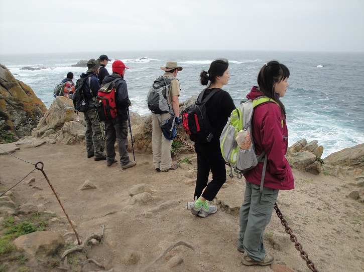 Point Lobos 08.jpg