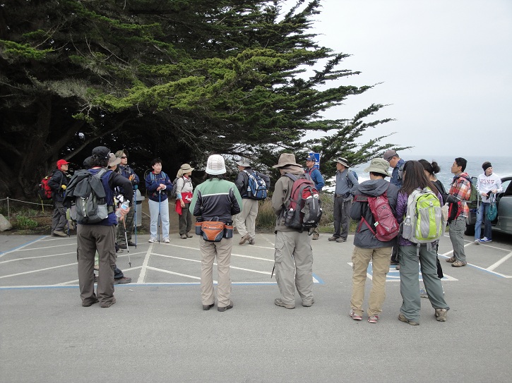 Point Lobos 12.jpg