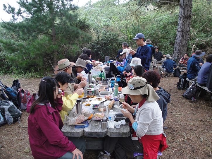 Point Lobos 19.jpg