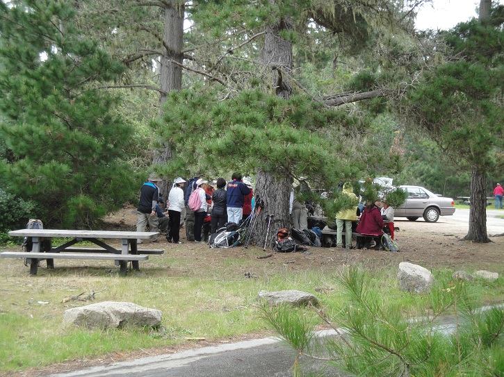 Point Lobos 20.jpg