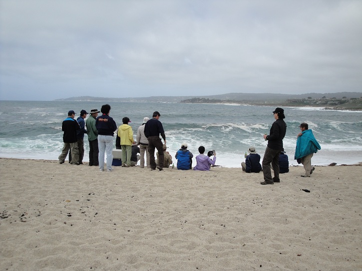 Point Lobos 23.jpg