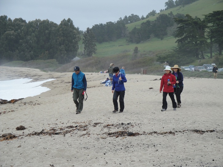Point Lobos 24.jpg