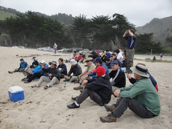 Point Lobos 25.jpg