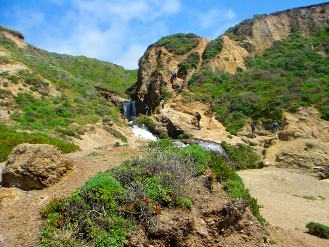 Alamere.Wildcat-042411-19.jpg