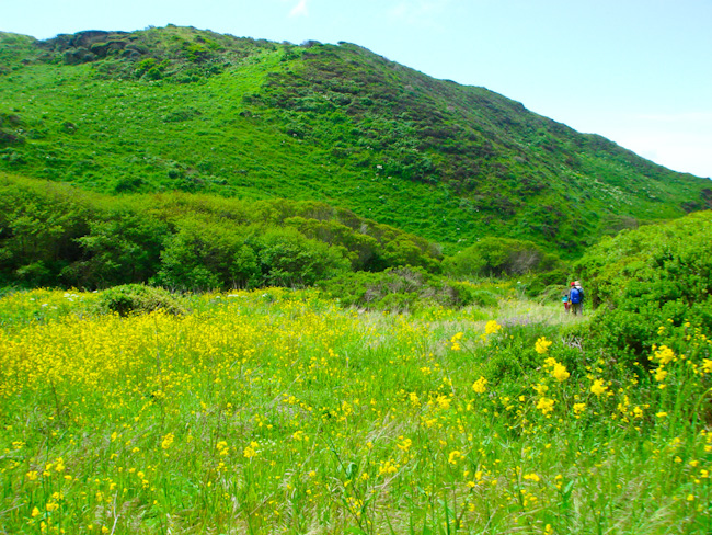 Alamere.Wildcat-042411-3.jpg