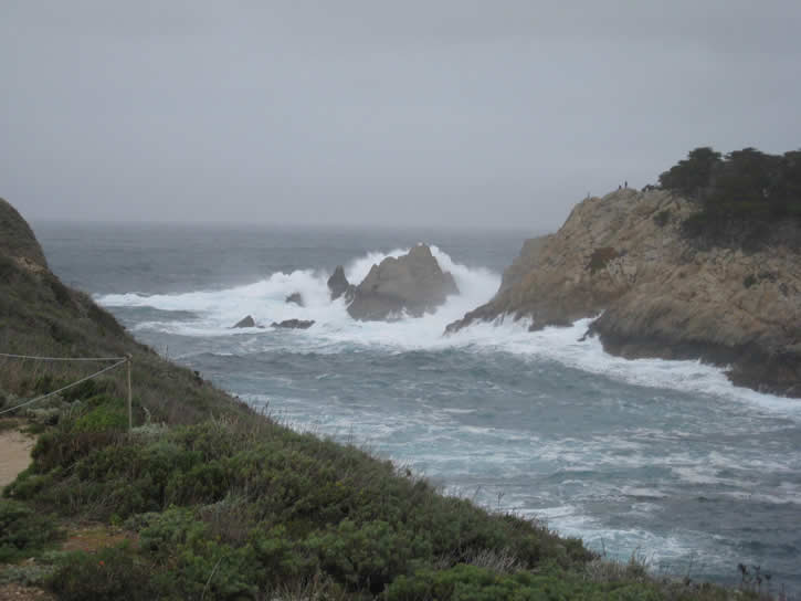 Point_Lobos 007.jpg