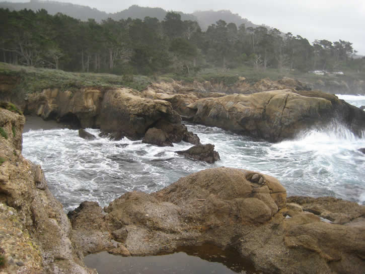Point_Lobos 029.jpg