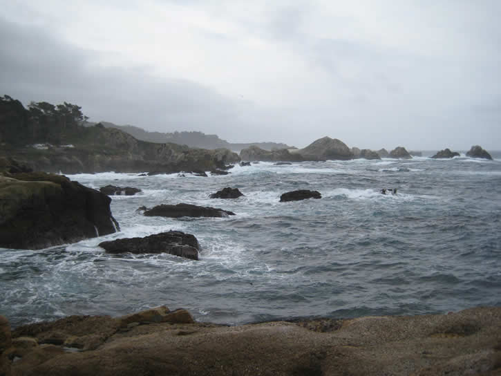 Point_Lobos 030.jpg