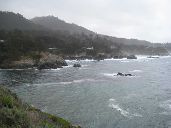 Point_Lobos 033.jpg