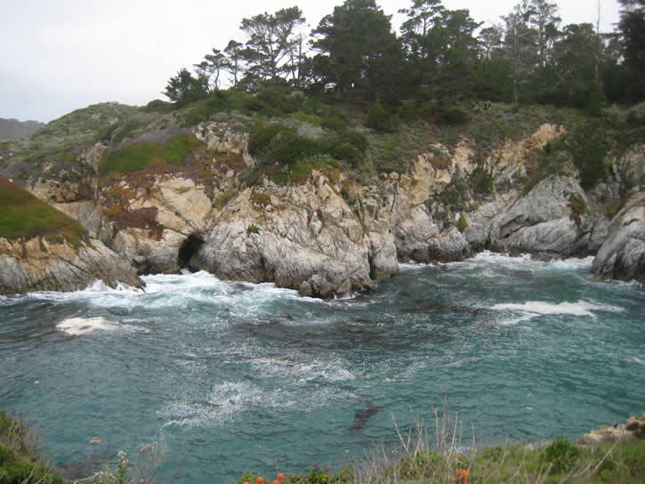 Point_Lobos 042.jpg