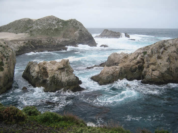 Point_Lobos 044.jpg