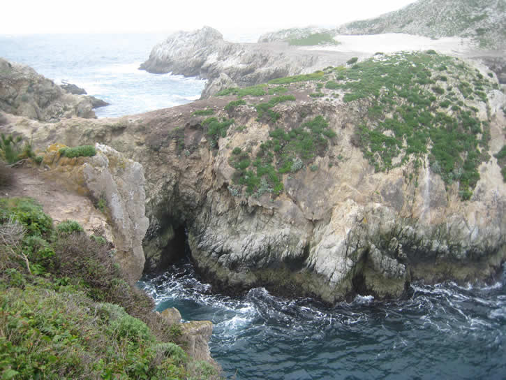 Point_Lobos 045.jpg
