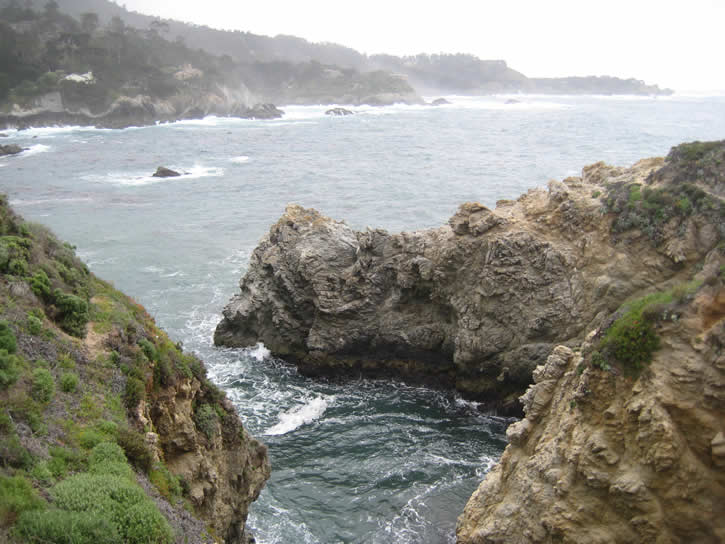 Point_Lobos 050.jpg
