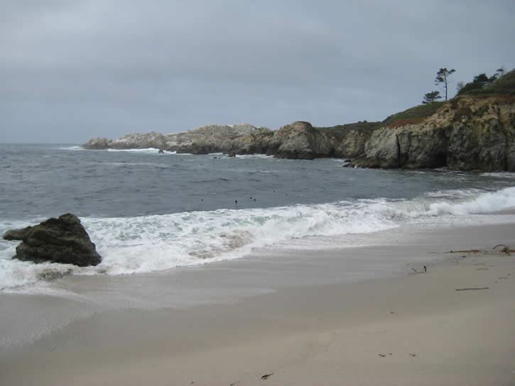 Point_Lobos 057.jpg