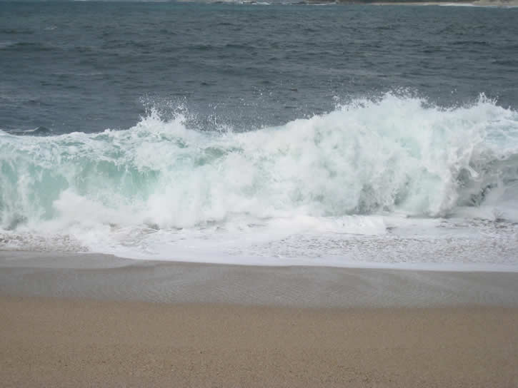 Point_Lobos 070.jpg