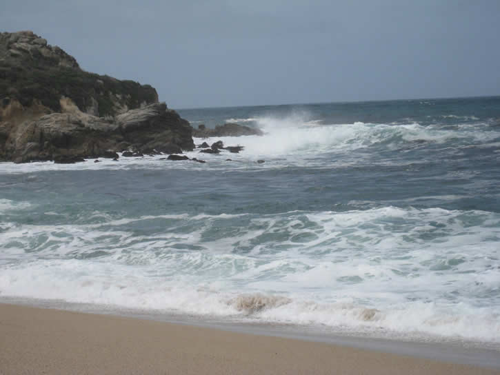 Point_Lobos 073.jpg