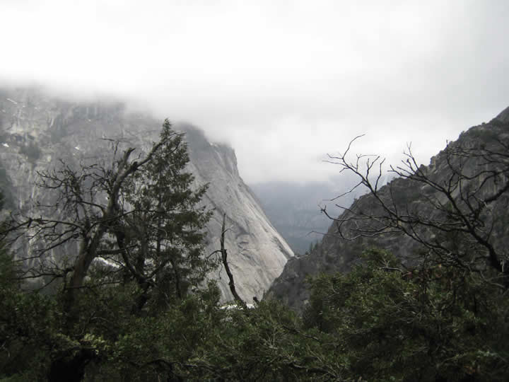 Yosemite_110423 028.jpg