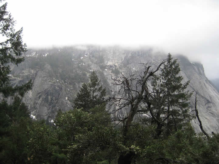 Yosemite_110423 029.jpg