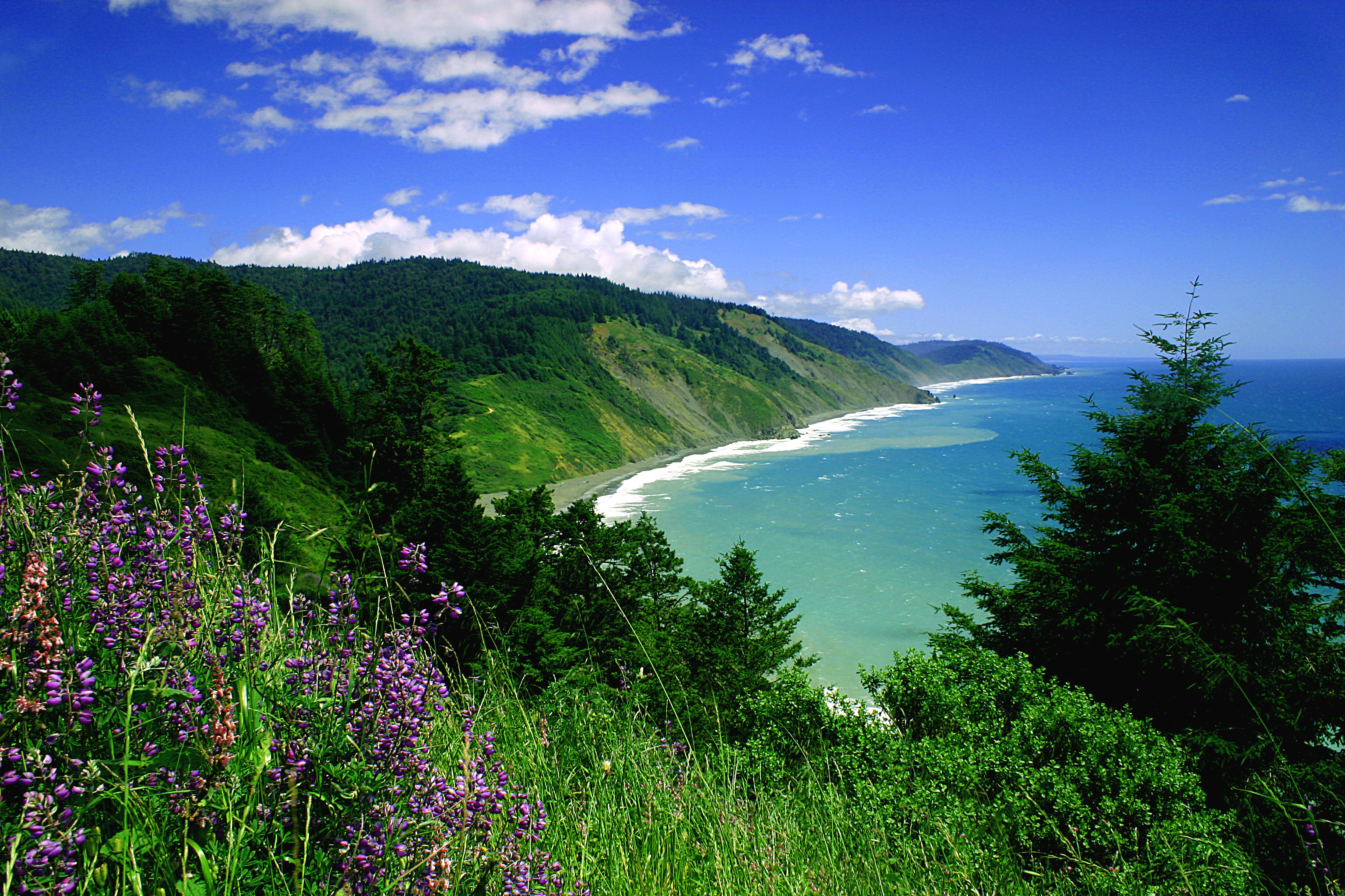 lost coast rail.jpg