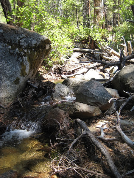 Halfdome_200806_25.jpg