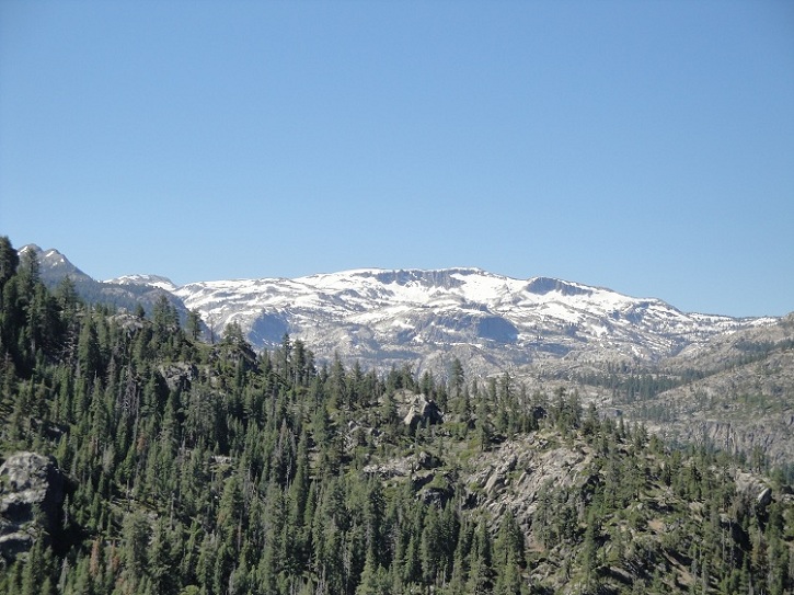 25 Emigrant Wilderness.jpg