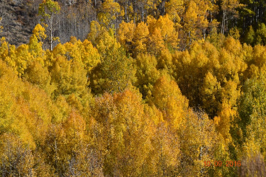 Convict Lake_117.JPG