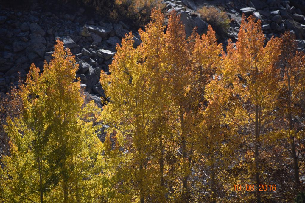 Convict Lake_040.JPG