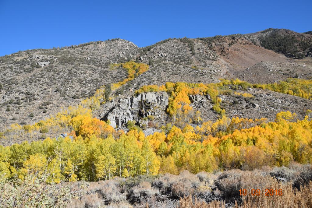 Convict Lake_123.JPG