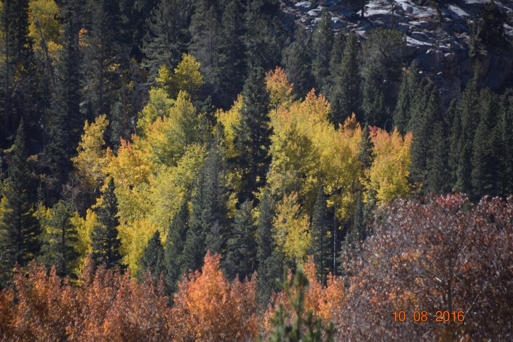 Convict Lake_039.JPG