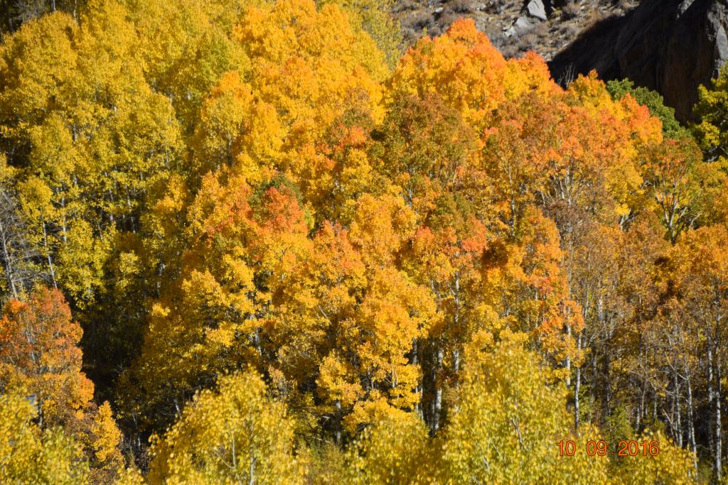 Convict Lake_124.JPG