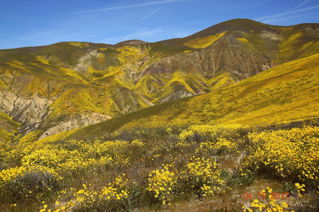 Carrizo Plain NM_235_Cor.jpg