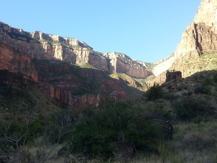 23 look up South Rim.jpg