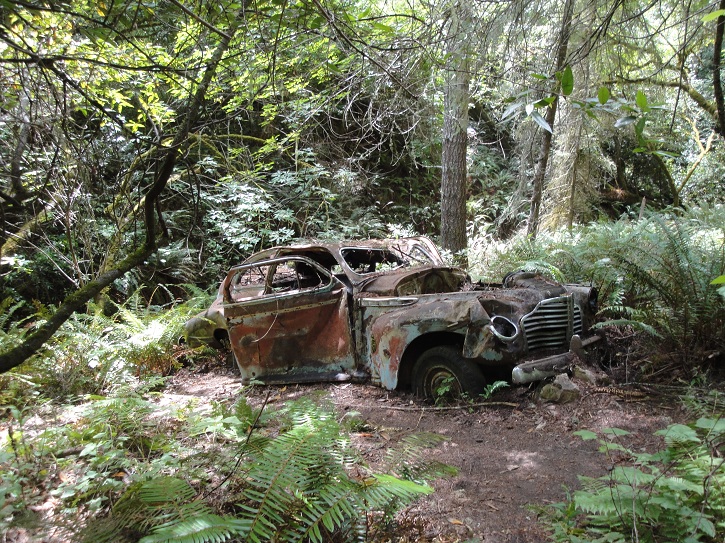 05 Old Car Wreckage.jpg