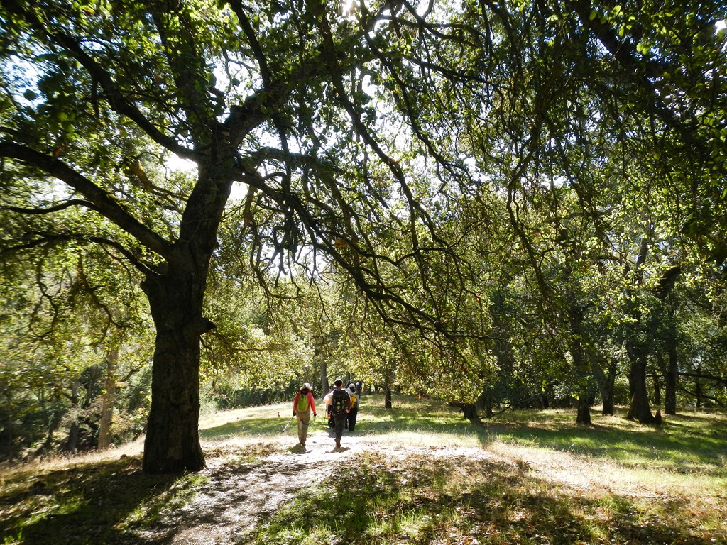 Sunol-10.jpg