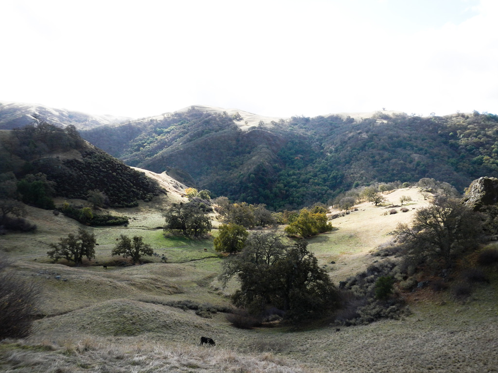 sunol-3.jpg