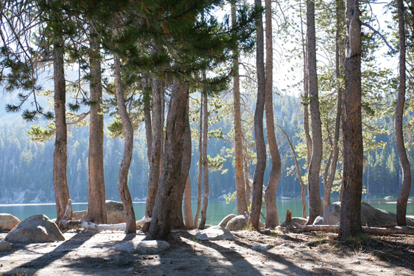 YosemiteCreek_TenayaLake02.jpg