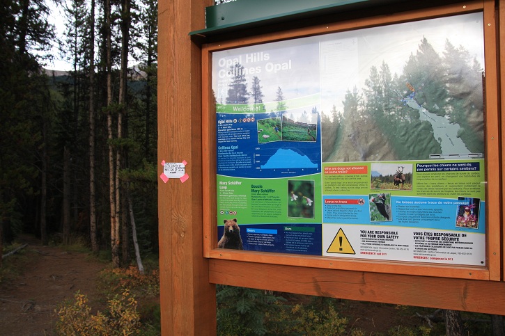 303 trailhead.jpg