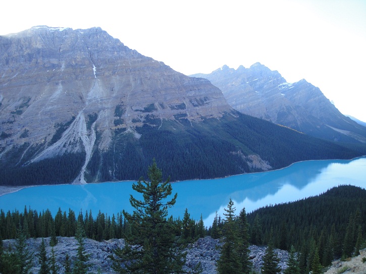 414 peyto 1.jpg